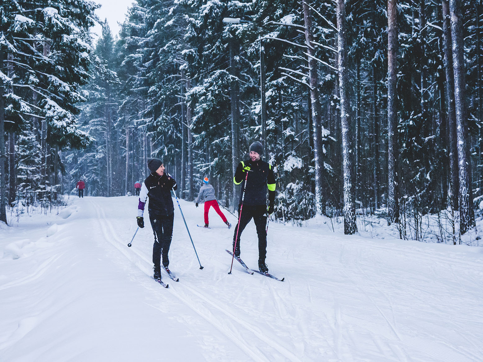 Hiihtäjiä talvisella metsäladulla. Etualalla kaksi aikuista hiihtää vierekkäin ja juttelee, taustalla näkyy muita hiihtäjiä lumisessa kuusimetsässä.