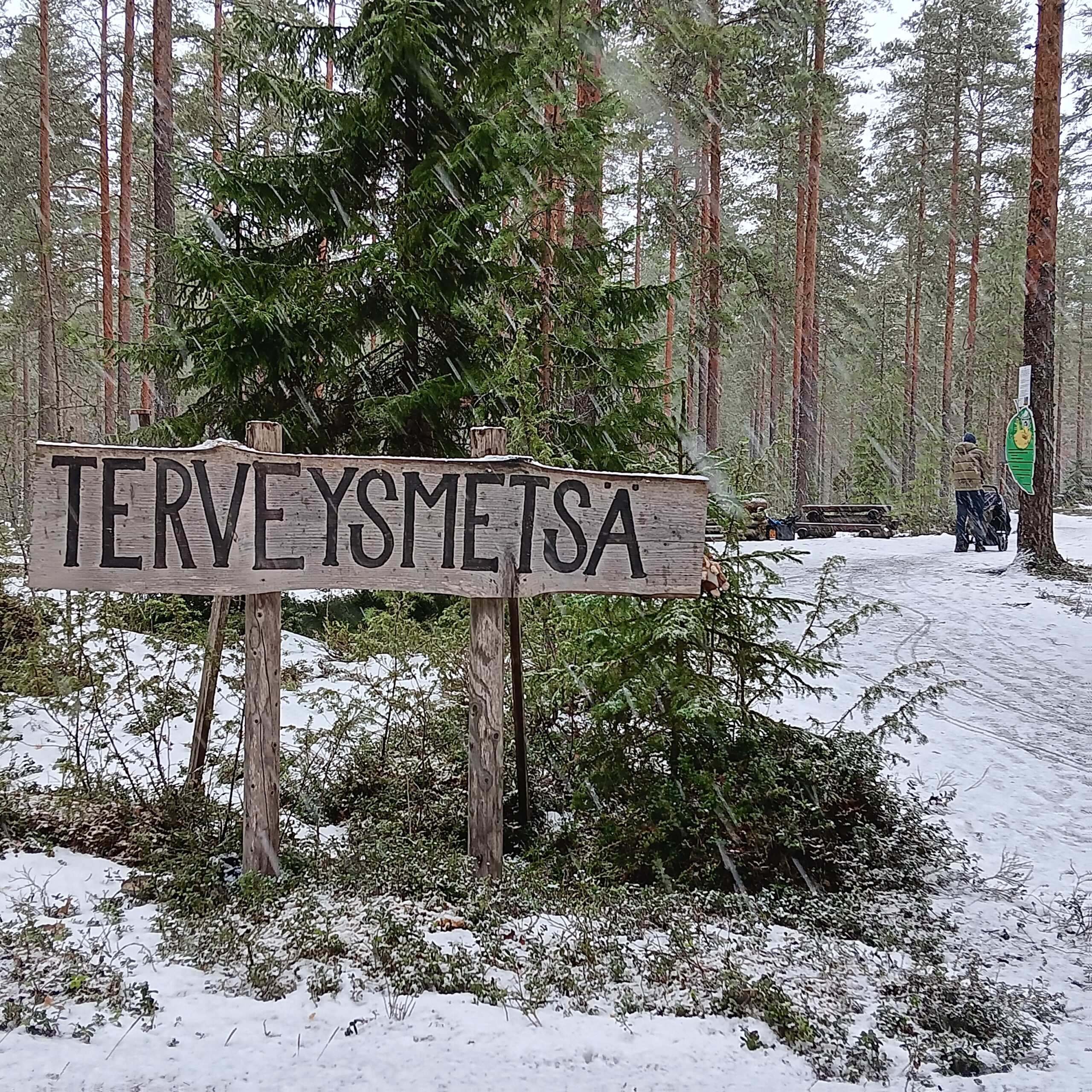 Terveysmetsä