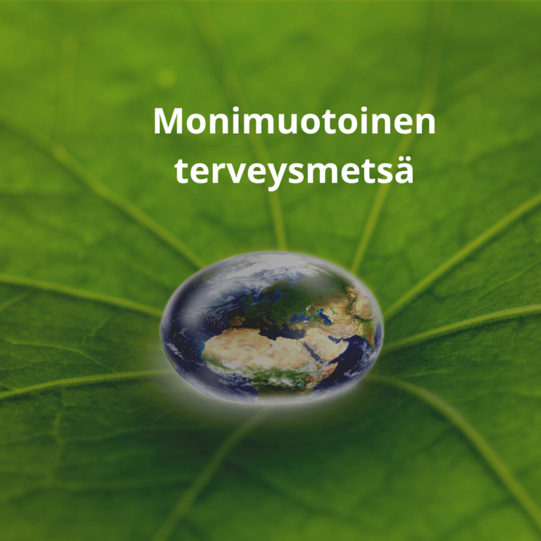 360°-kuvaus luonossa työpaja